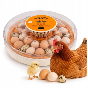 INKUBATOR AUTOMATYCZNY 30 JAJ KLUNIK OWOSKOP LED OBRACANIE LCD Kaczka Gęś