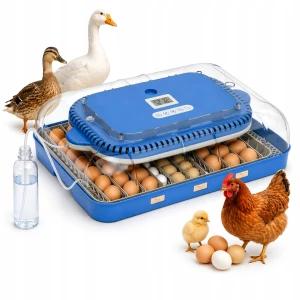INKUBATOR AUTOMATYCZNY 70 JAJ KLUNIK OWOSKOP LED WILGOTNOŚĆ LCD Gęś Kaczka